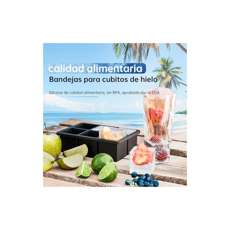 Molde para Hielo TAGNEFLOR