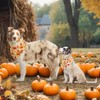 Vehomy 3-Pack Thanksgiving Dog Bandana Pet Turkey Bandanas Reversible Dog