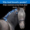 SU-PER Stress-Ex Horse Electrolyte Supplement - Maintain Normal Body Fluid