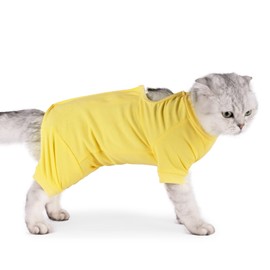 Cat Surgical Recovery Suit Professional for Male Female Dog Abdominal Wounds Cone E-Collar Alternative, Anti-Licking Or Skin Diseases Pet Surgical Recovery Pajama Suit, Soft Fabric Onesies for Cats