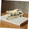 GRIRIW Resin Dinosaur Skull Statue Decorative Figurine for Home Office