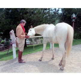 PRESIDENT RONALD REAGAN FEEDING HIS HORSE "EL ALAMEIN" 1986 8X10 FRAMED PHOTO