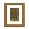 Eitida 8x10 in Antique Gold Ornate Classic Picture Frame, Matted