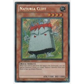 Yu-Gi-Oh! - Naturia Cliff (HA03-EN012) - Hidden Arsenal 3 - Unlimited Edition - Secret Rare