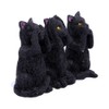 Nemesis Now U4802P9 Three Wise Cat 8.5 cm Black