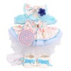Teddy Bear Mail Order Alice Stellaroo Clothes Changing Costume with