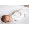 Large Premium Knit Baby Swaddle Receiving Blanket"Noah" by Copper Pearl