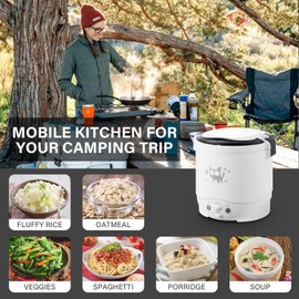 Rice Cooker Small, Portable Rice Cooker for Travel Mini, Mini Rice Cooker, 12v 100w 1l Portable Electric Multifunctional Rice Cooker Food Steamer Meal Heater Food Warmer (White)