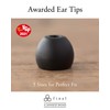 final E1000 In Ear Isolating Earphones, 6.4mm Dynamic Driver, High-Resolution,