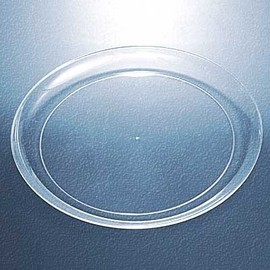 Hard Plastic 9 Inch Catering Plate (240)
