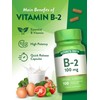 Nature's Truth B2 Vitamin | 100mg | 100 Capsules |