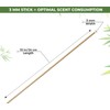 1st Deer Fiber Reed Sticks – 100 pcs White Reed