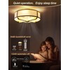 Beiduna 18" Gold Flush Mount Ceiling Fan with Light, Caged