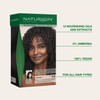 Naturigin Permanent Hair Color, 2.0 Black, Ammonia Free, 100% Gray