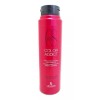 Lendan Lendan Protector Color Shampoo + Acondicionador + Mask