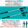 Nordic Walk Pole, Lightweight Telescopic 2 Poles, Silver