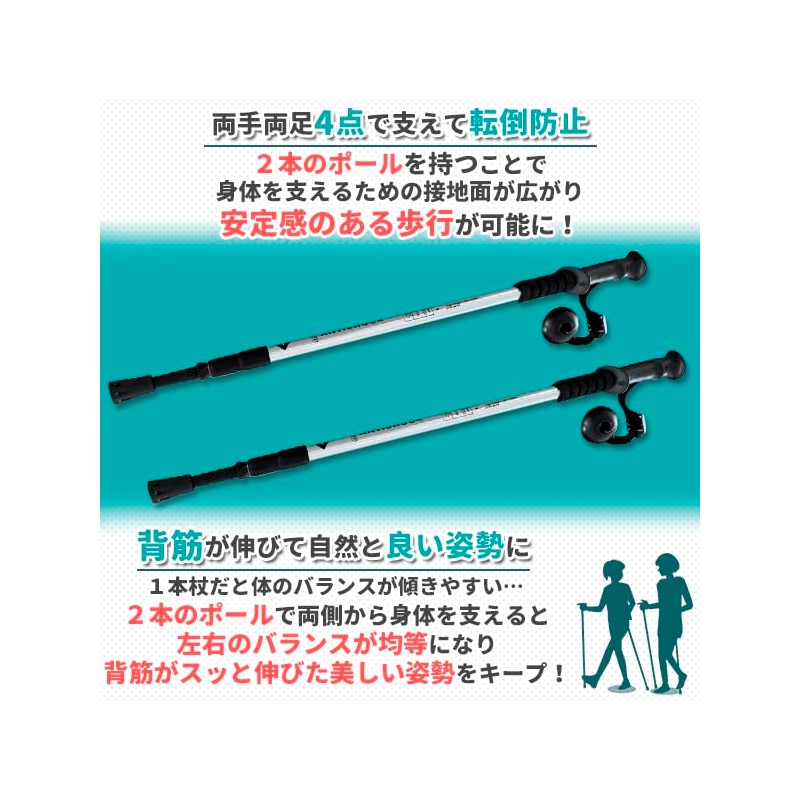 Nordic Walk Pole, Lightweight Telescopic 2 Poles, Silver