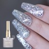 Divock Divok DG01 Silver Diamond Glitter Gel Single Item /