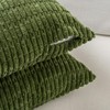 Fancy Homi Set of 4 Green Boho Spring Decorative Throw