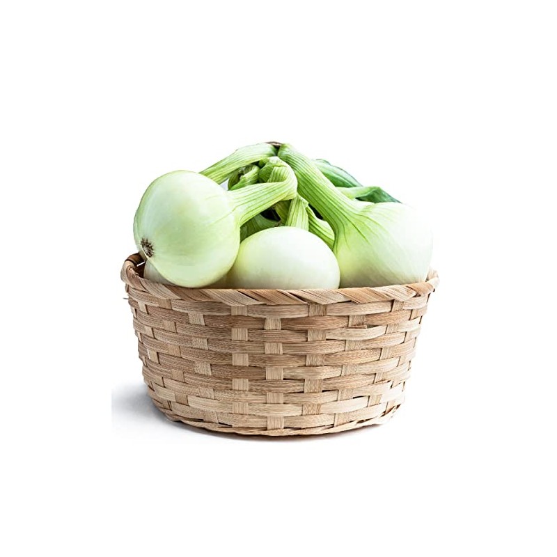 Everwilde Farms - 1 Lb Crystal White Wax Onion Seeds