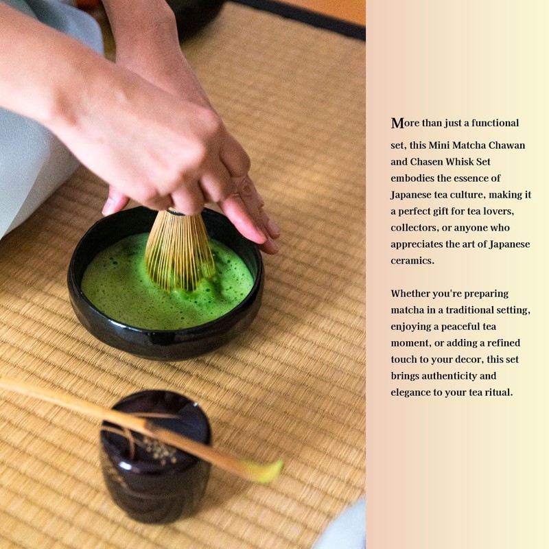 Waraku Fuuka Japanese Traditional Mino Ware Handcrafted Mini Matcha Chawan