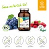 GSE Vino C, 120 Kapseln, Extrakt aus Trauben und Acerola,