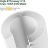 P60 Replacement Filters for TPLMB P60 Air Purifier, Also for