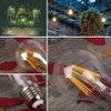 2200k Led Light Bulb,Vintage A19 Edison Bulbs,Dimmable amber Light Bulbs,Warm