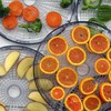 NutriChef Food Dehydrator Machine - Professional Electric Multi-Tier Food Preserver,