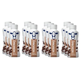 FairIife Nutrition Plan - Chocolate High Protein Shake - 30g protein (12 Pack)