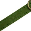 Ancol Green Leather Dog Collar for Dogs and Puppies -