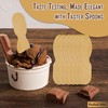Perfect Stix ASO24W Plain Wooden Ice Cream/Taster Spoon, Unwrapped, 3"
