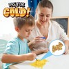 Sunny Days Entertainment Gold Dig Kit, Juguete de Ciencia misteriosa
