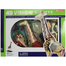 Famemaster 4D Vision Giraffe Anatomy Model