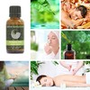 Aniseed 100% Pure Essential Aromatherapy Oil 30ml