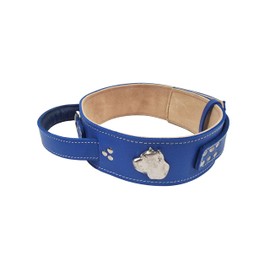 MD Gear Cane Corso Silver Heavy Duty 2.5 inch Wide Leather Dog Collar with Cane Corso Head Motif with Strong Handle for Better Control (Blue, Large: 23" - 28")