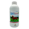 Aranda Shampoo De Zabila Para Caballo 1 Lt Brillo Aranda
