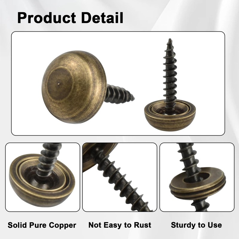 Aifeier ET 10Pcs Pure Brass Decorative Screws with Caps, Mirror