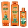 Rutina Garnier Fructis Borrador De Daño Control Grasa