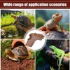 Flushbay Extra Large Reptile Bathing Pool Reptile Feeding Dish Water