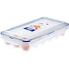 Lock & Lock HPL955 Egg Storer for 18 Eggs- Clear/Blue,
