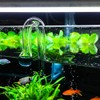 IAFVKAI Glass CO2 Drop Checker Aquarium Hang On CO2 Monitor
