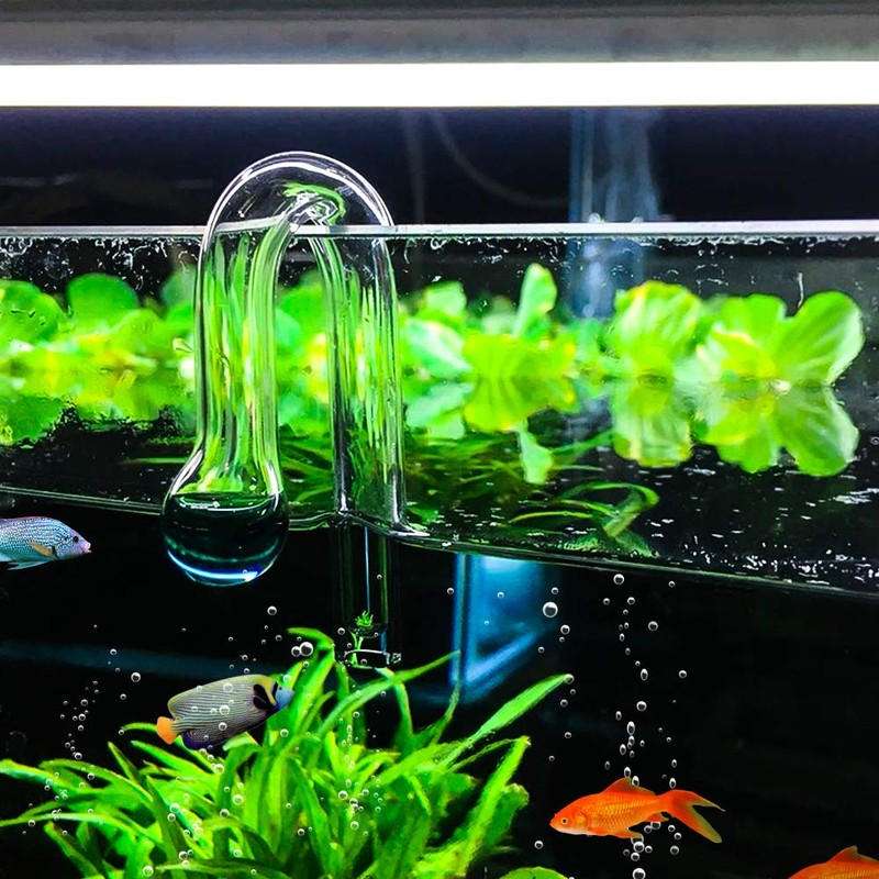 IAFVKAI Glass CO2 Drop Checker Aquarium Hang On CO2 Monitor
