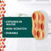 Scotch-Brite Harvest Pop Up Kitchen Sponges, Unique Compressed Kitchen Sponge
