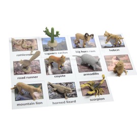 Montessori Desert Animal Match Cards and Figurines. Nomenclature Science Work