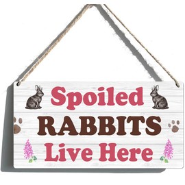 Rabbit Decor Bunny Sign Easter Bunny Wooden Signs A Spoiled Rabbit Lives Here Sign Easter Bunny Hanging Plaque Happy Easter Wood Sign Rabbit Themed Gifts For Rabbit Lover Rabbit Door Sign