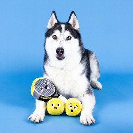 Fringe Studio Plush Dog Toy, 3 Pieces Multipack Set, Serving ACES, Pet Shop Collection (312516)