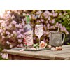 Belvoir Organic Elderflower Rose Lemonade, 25.4 FZ