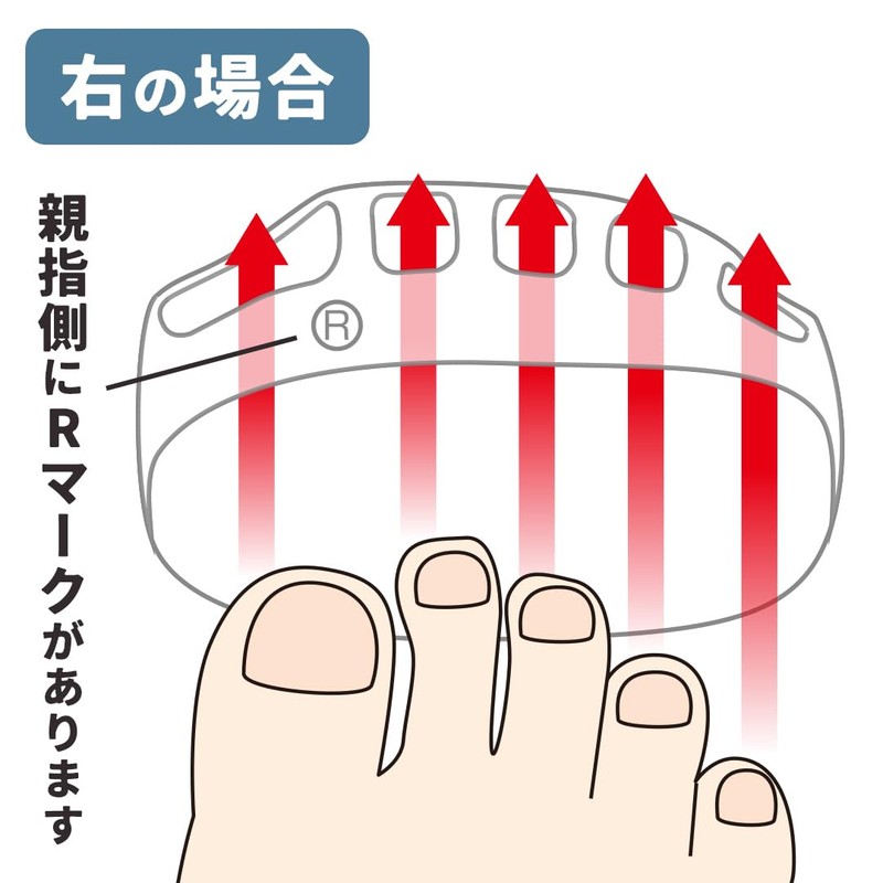 Sole Calf – Calluses Well