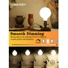 OMAYKEY 15W Dimmable Large LED Globe Bulb 100W Equivalent 1000